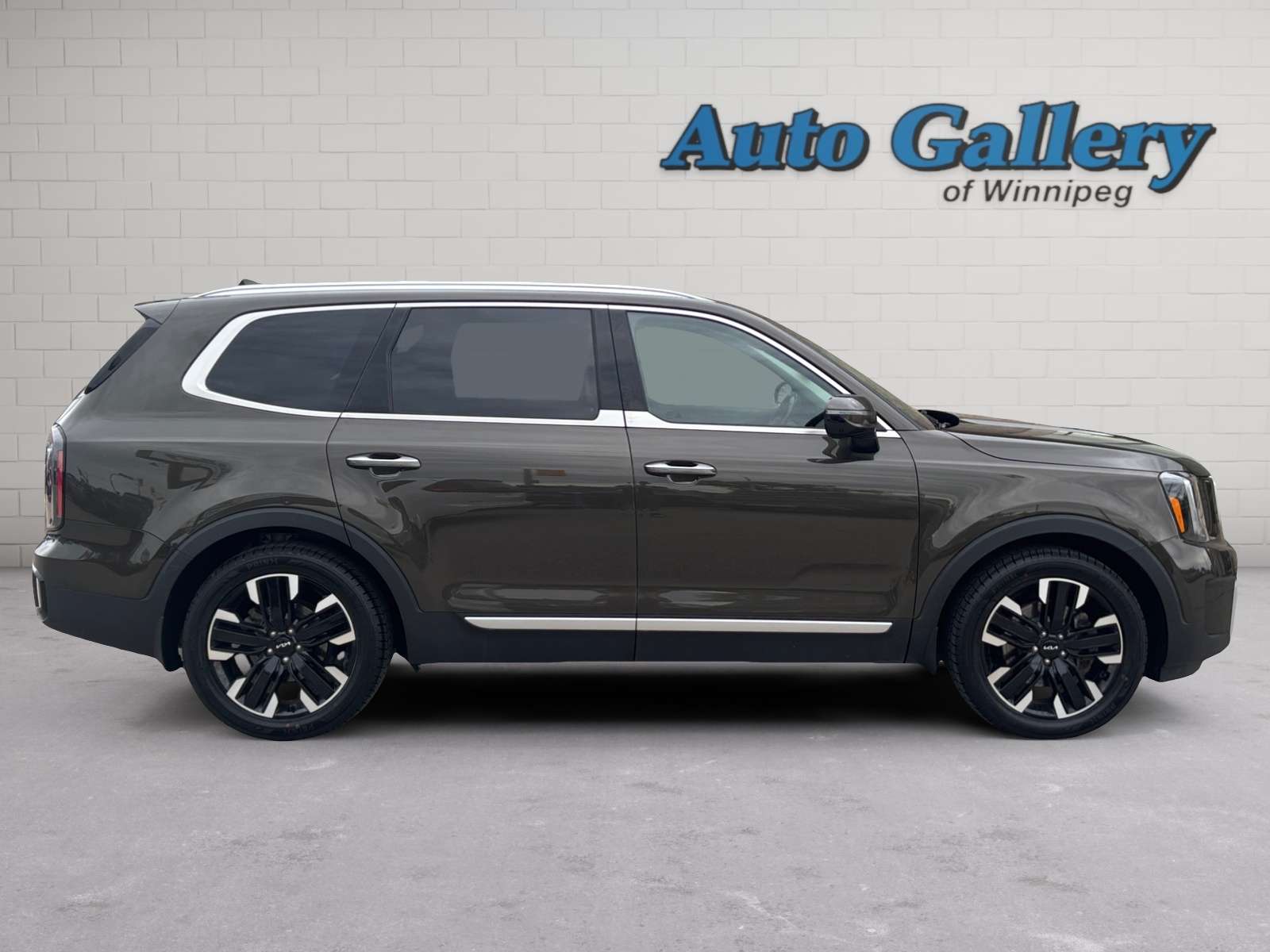 used 2023 Kia Telluride car, priced at $45,853