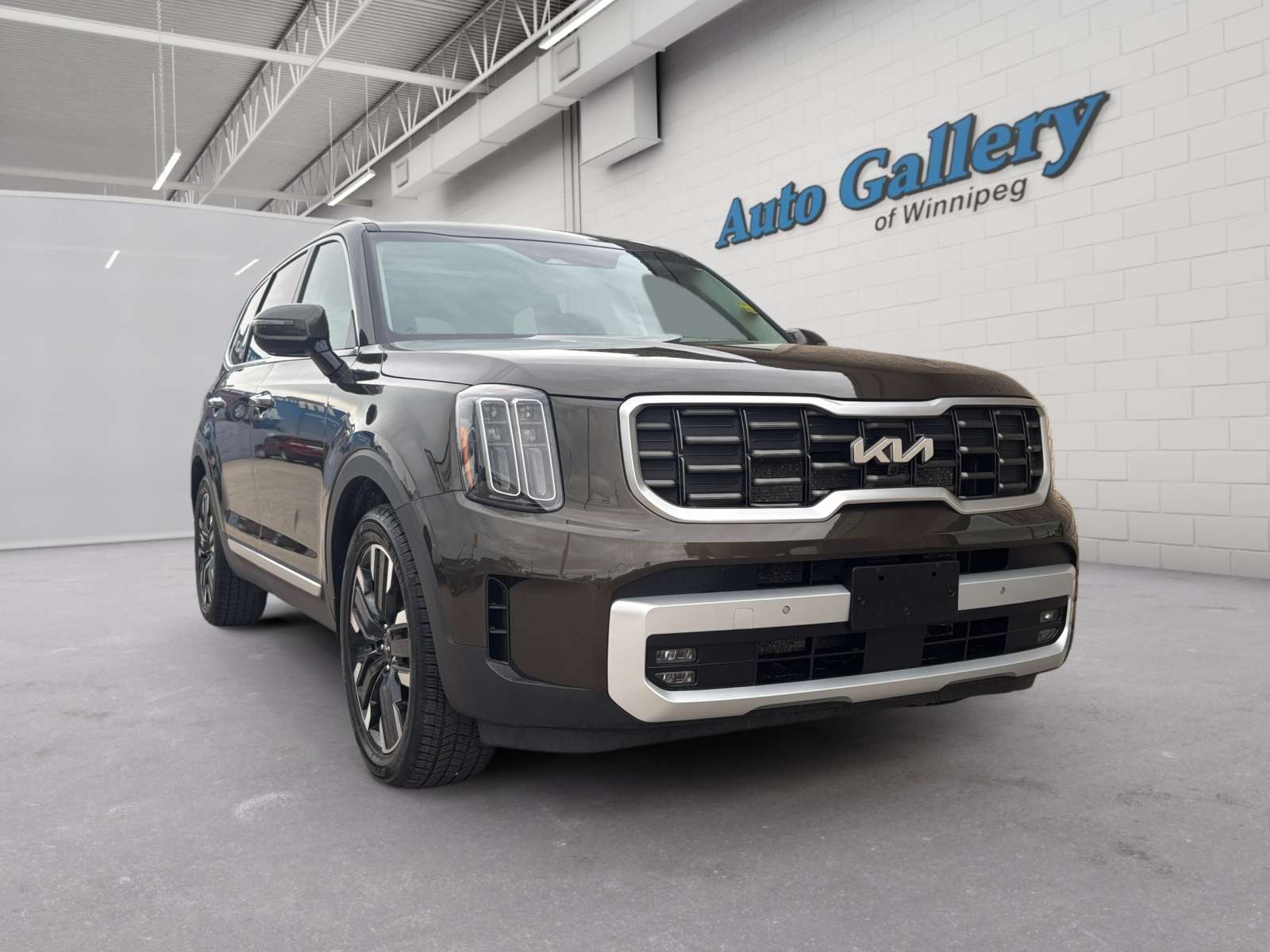 used 2023 Kia Telluride car, priced at $45,853