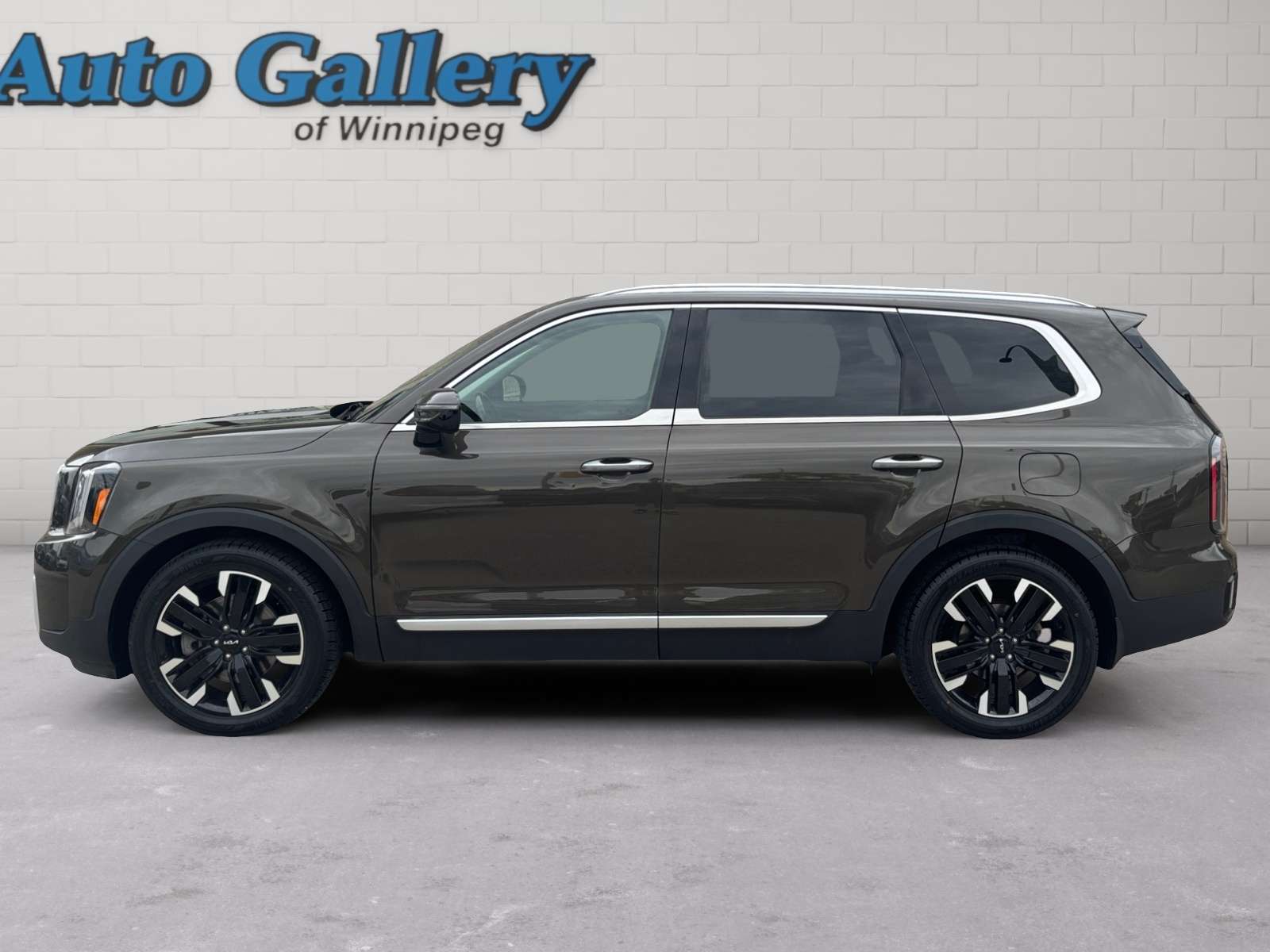 used 2023 Kia Telluride car, priced at $45,853