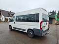 Fiat Ducato Hochr.-Kombi 33 120 Weiß - thumbnail 4