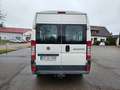 Fiat Ducato Hochr.-Kombi 33 120 Weiß - thumbnail 5