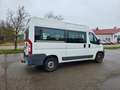 Fiat Ducato Hochr.-Kombi 33 120 Weiß - thumbnail 7