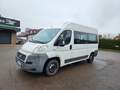 Fiat Ducato Hochr.-Kombi 33 120 Weiß - thumbnail 3