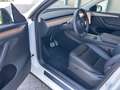 Tesla Model Y Model Y Long Range Dual Motor AWD Weiß - thumbnail 9