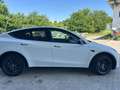 Tesla Model Y Model Y Long Range Dual Motor AWD Weiß - thumbnail 3