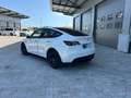 Tesla Model Y Model Y Long Range Dual Motor AWD Weiß - thumbnail 11