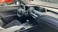 Lexus UX 250h 2.0 PREMIUM AUTO 184 5P Rojo - thumbnail 11
