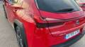 Lexus UX 250h 2.0 PREMIUM AUTO 184 5P Rojo - thumbnail 15