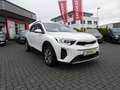 Kia Stonic 1.0 T-GDI 100 OPF Vision Bianco - thumbnail 3