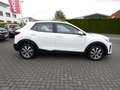 Kia Stonic 1.0 T-GDI 100 OPF Vision Bianco - thumbnail 4