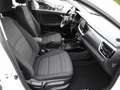 Kia Stonic 1.0 T-GDI 100 OPF Vision Bianco - thumbnail 15