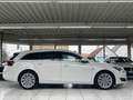 Opel Insignia 2.0 Inovation Navi BiXenon Bose Kamera Weiß - thumbnail 6