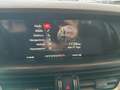 Alfa Romeo Stelvio Alfa Romeo Stelvio 2.2 td 190cv AT8 Q4 Executive Rot - thumbnail 12