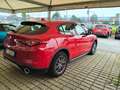 Alfa Romeo Stelvio Alfa Romeo Stelvio 2.2 td 190cv AT8 Q4 Executive Rot - thumbnail 4