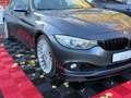 Alpina D4 3.0 Biturbo Automatik Gris - thumbnail 9