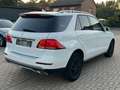Mercedes-Benz GLE 250 d 4Matic+Panorama+360°Kamera+LED+TUV neu Weiß - thumbnail 5