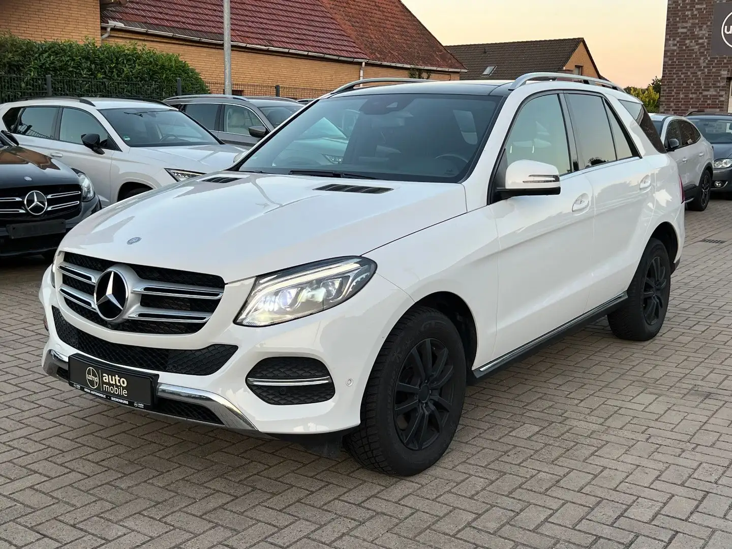 Mercedes-Benz GLE 250 d 4Matic+Panorama+360°Kamera+LED+TUV neu Weiß - 1