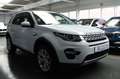 Land Rover Discovery Sport HSE TD4*XENON*KAMERA*NAVI*LEDER Beyaz - thumbnail 8