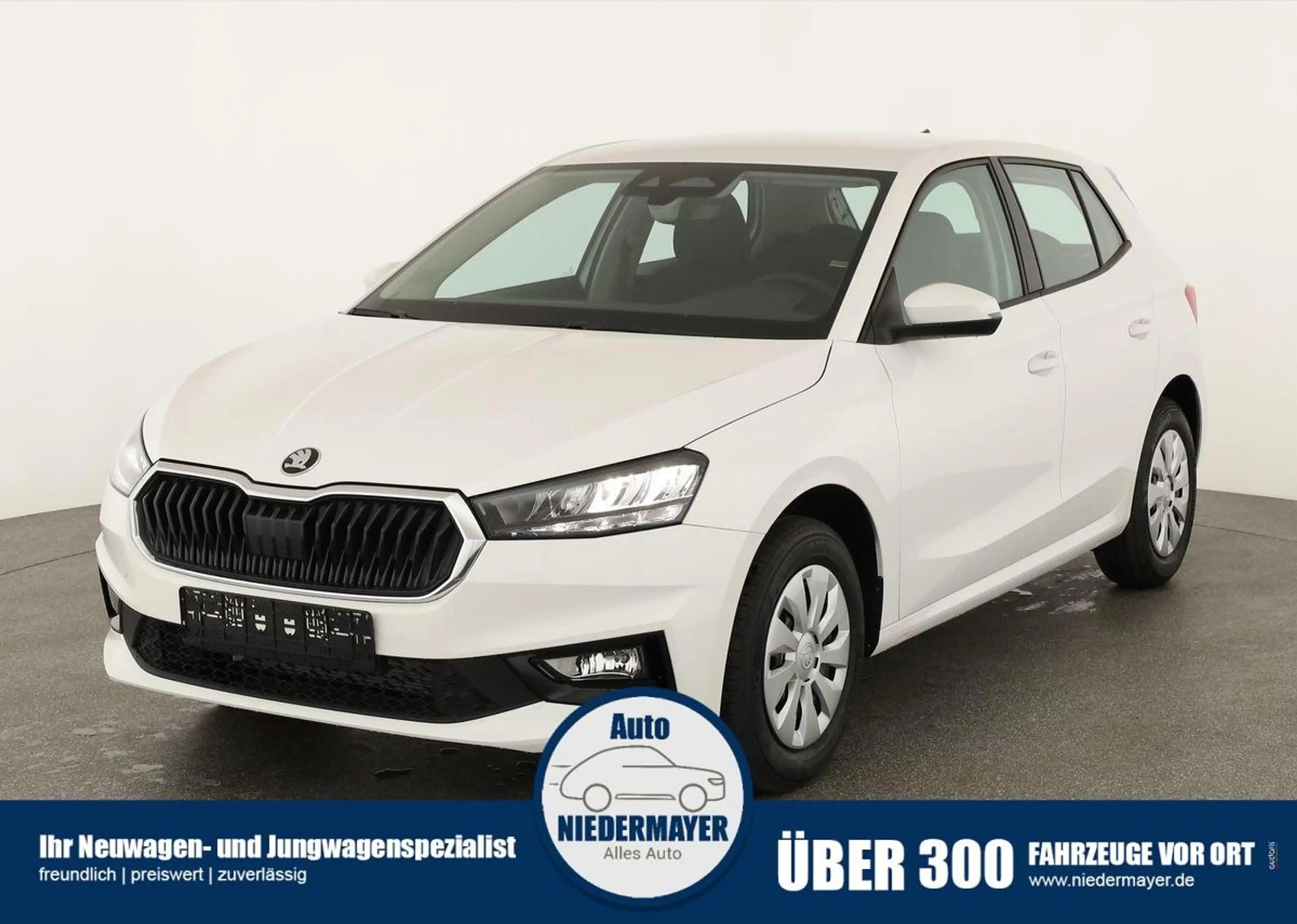 Skoda Fabia 1.0 TSI Selection, Park, SmartLink, 4 J.-Garantie