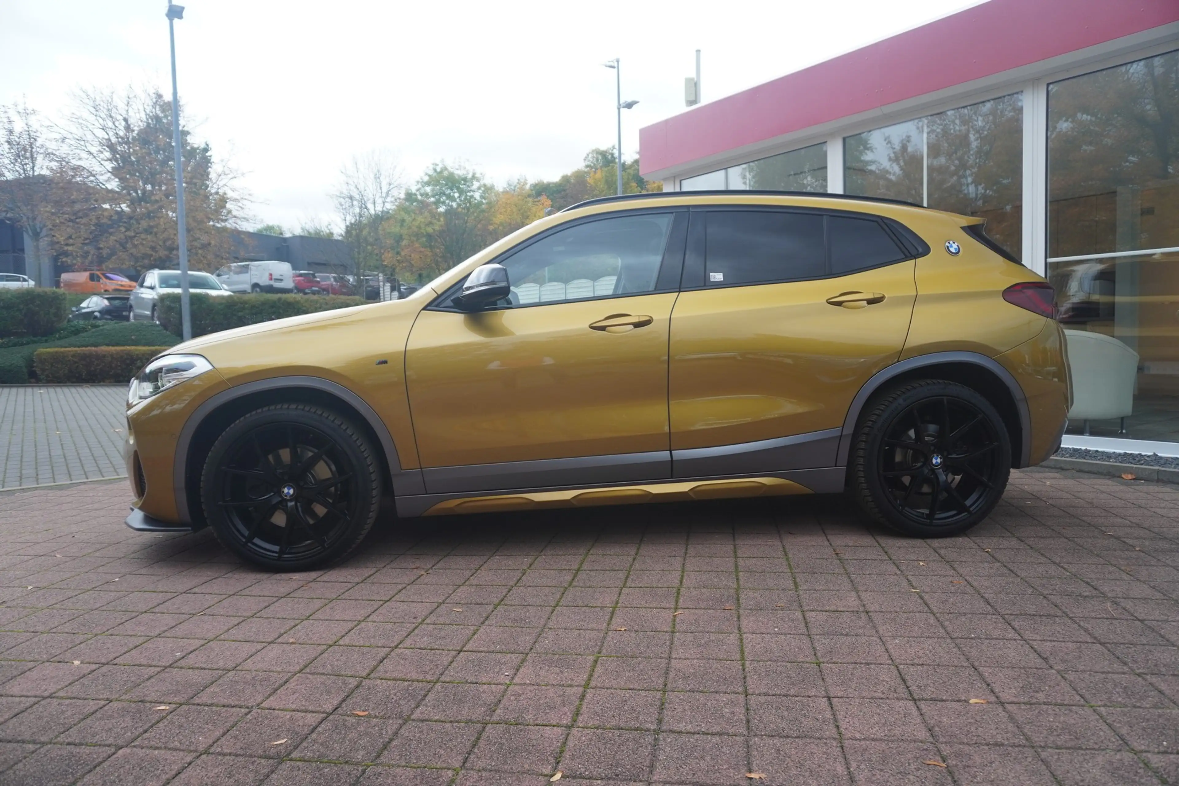 BMW X2 sDrive 20 i M Sport LED Navi Panorama Head-Up — photo 6