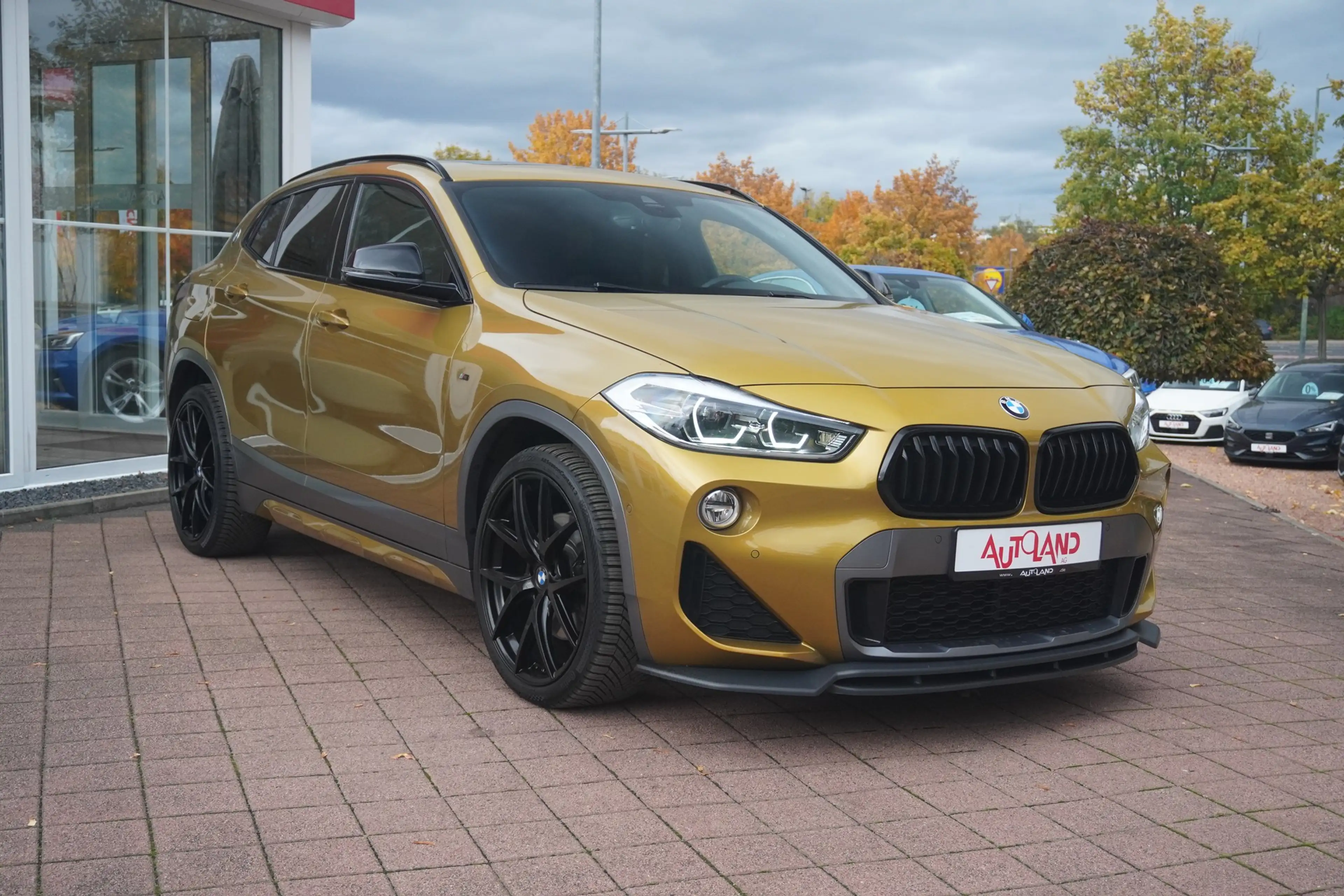 BMW X2 sDrive 20 i M Sport LED Navi Panorama Head-Up — photo 5
