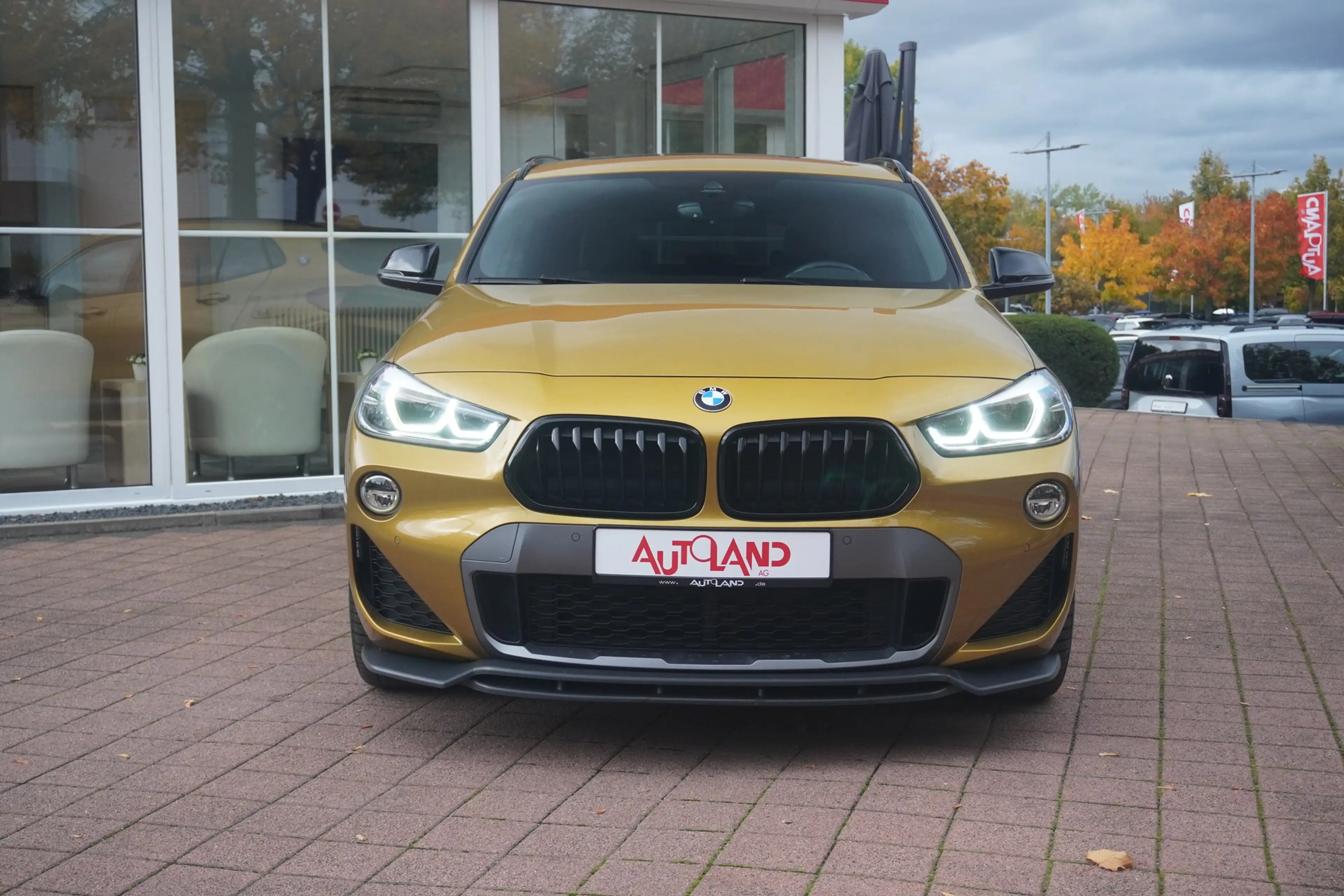 BMW X2 sDrive 20 i M Sport LED Navi Panorama Head-Up — photo 7