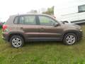 Volkswagen Tiguan Trend & Fun 4Motion 1,4 TSi + Shz+Tempo++ Brown - thumbnail 6