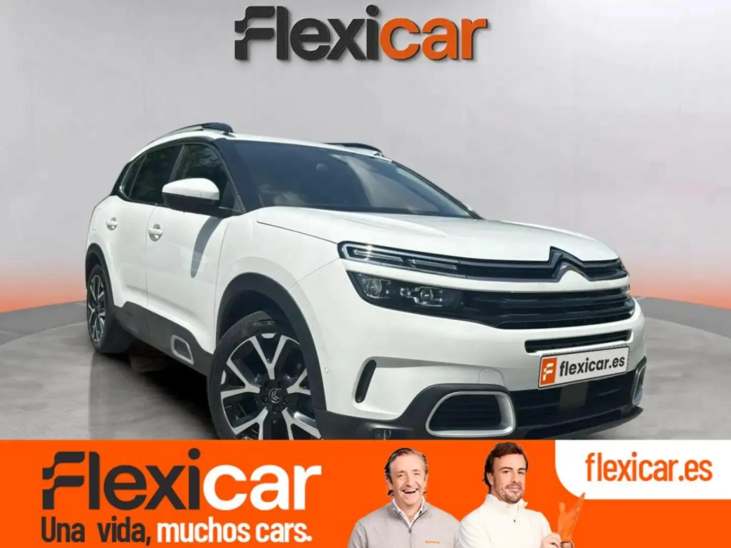 Citroen C5 Aircross BlueHdi 96kW (130CV) S&S EAT8 Feel Pack Blanco - 1