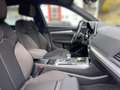 Audi Q5 AUDI Q5 40 TDI quattro S tronic~Sline~Matrix Verde - thumbnail 15