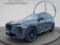 BMW X7 xDrive40d G07 B57 AUT Klima Grau - thumbnail 1