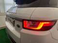 Land Rover Range Rover Evoque 2.0 td4 150cv Aut. SE Dynamic Wit - thumbnail 30