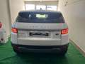 Land Rover Range Rover Evoque 2.0 td4 150cv Aut. SE Dynamic Wit - thumbnail 5