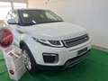 Land Rover Range Rover Evoque 2.0 td4 150cv Aut. SE Dynamic Wit - thumbnail 1