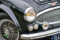 Austin-Healey Sonstige HMC 4000 Mk4 Grün - thumbnail 27