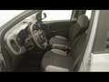Fiat New Panda 1.0 FireFly Hybrid City Life Grau - thumbnail 7