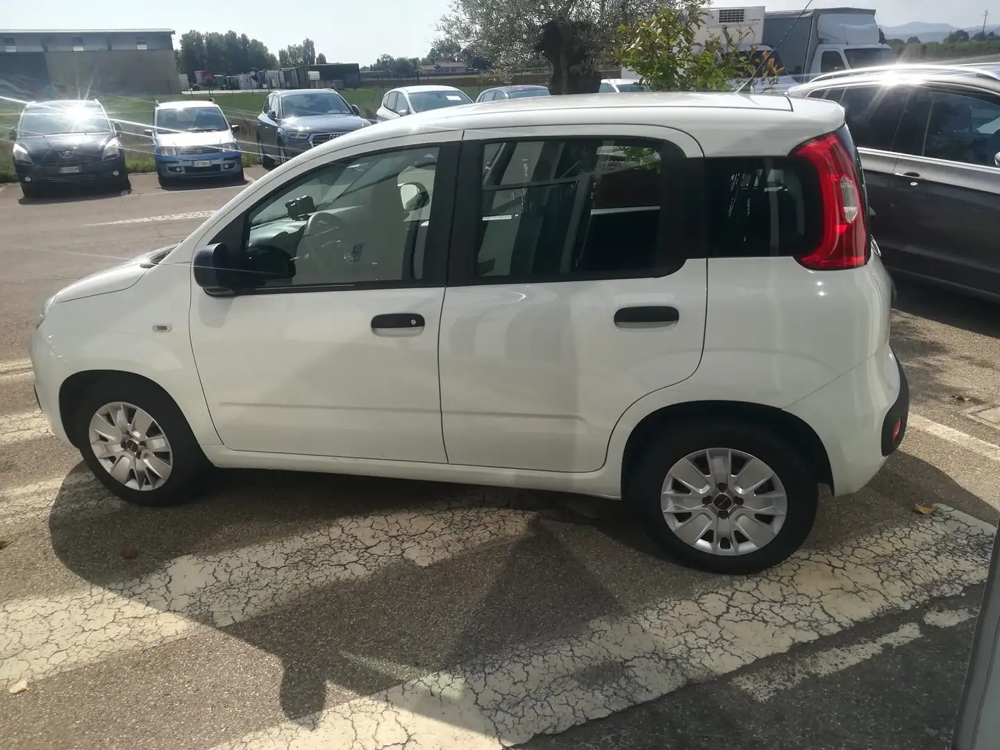 Fiat Panda van 4 posti Wit - 2