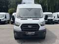 Ford Transit Transit Kasten 2,0 EcoBlue L3H2 350 Trend Weiß - thumbnail 2