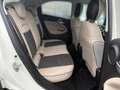Fiat 500X 1.4 Lounge Weiß - thumbnail 13