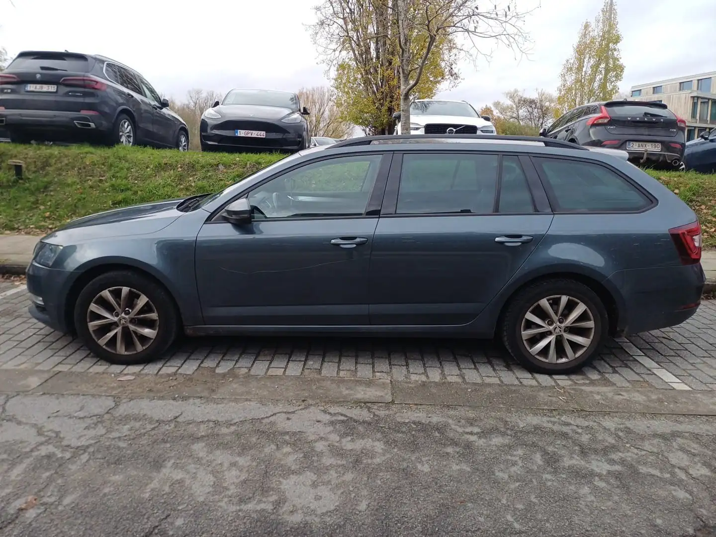Skoda Octavia Octavia SW 1.6 CR TDi Ambition (EU6.2) Gris - 2