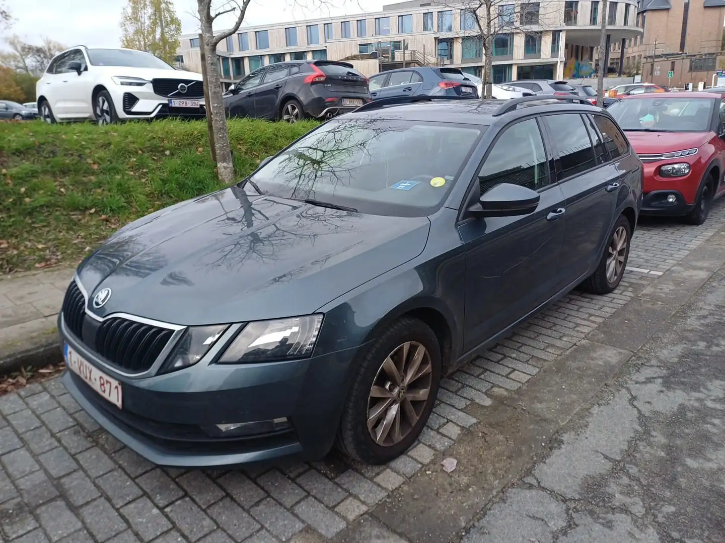 Skoda Octavia Octavia SW 1.6 CR TDi Ambition (EU6.2) Gris - 1