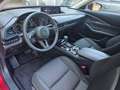 Mazda CX-30 e-Skyactive X186 AWD Allrad Homura Automatik Rot - thumbnail 2