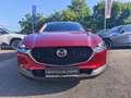 Mazda CX-30 e-Skyactive X186 AWD Allrad Homura Automatik Rot - thumbnail 3