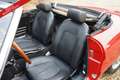Alfa Romeo Spider PRICE REDUCTION! 1600 Duetto Fantastic condition, Rood - thumbnail 26
