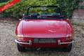 Alfa Romeo Spider PRICE REDUCTION! 1600 Duetto Fantastic condition, Rood - thumbnail 36