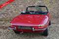 Alfa Romeo Spider PRICE REDUCTION! 1600 Duetto Fantastic condition, Rood - thumbnail 25