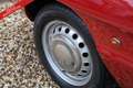 Alfa Romeo Spider PRICE REDUCTION! 1600 Duetto Fantastic condition, Rood - thumbnail 47