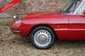 Alfa Romeo Spider PRICE REDUCTION! 1600 Duetto Fantastic condition, Rood - thumbnail 50