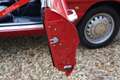 Alfa Romeo Spider PRICE REDUCTION! 1600 Duetto Fantastic condition, Rood - thumbnail 34