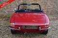 Alfa Romeo Spider PRICE REDUCTION! 1600 Duetto Fantastic condition, Rood - thumbnail 6