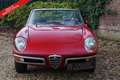 Alfa Romeo Spider PRICE REDUCTION! 1600 Duetto Fantastic condition, Rood - thumbnail 18
